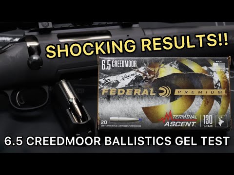 Remington vs Black Cloud vs Winchester vs Federal (4 Shot Comparison)