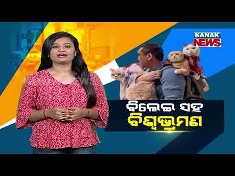 Special Report: Man Travels World Wth His Three Cats