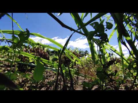 Timelapse | Lg G8x |