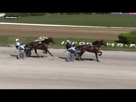 Prova di qualifica cavalli di 3 anni - martedì 2 aprile 2024