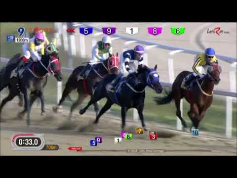 Munhwa Ilbo Cup 2017 - Silver Wolf