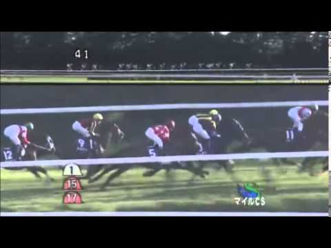 マイルチャンピョンシップ2014