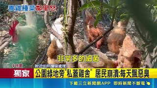 三立獨家｜社區頂樓變開心農場公園還有人養雞? 八德公所出面還原真相｜三立新聞網 SETN.com