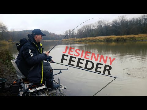 AUTUMN FEEDER on the OLD RIVER