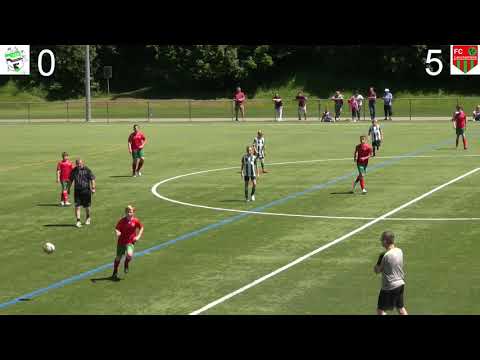 Junioren D FC Reichenbach - FC Lerchenfeld vom 08. 06. 2019 Tore und Höhepunkte