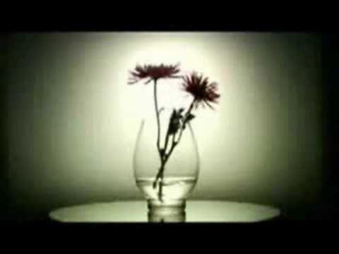 Double Nation - Apologice Remix