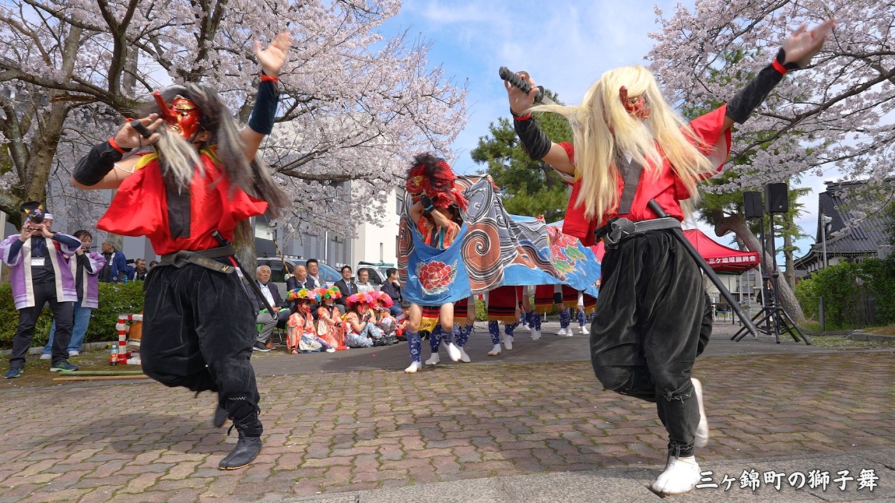 三ヶ錦町の獅子舞 60余年ぶり子獅子復活 2026年 下条川千本桜まつり / 富山県射水市