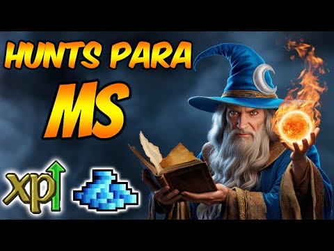 6 HUNTS PARA MS LEVEL 150 NO TIBIA - EXP E PROFIT