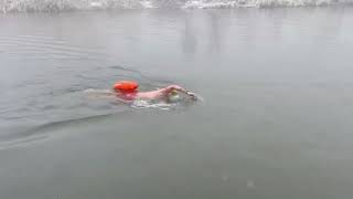 Wideo: Pywanie w zimnej wodzie to ich pasja