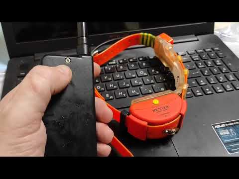 hunter 25000 pro. КАК привязать ошейник