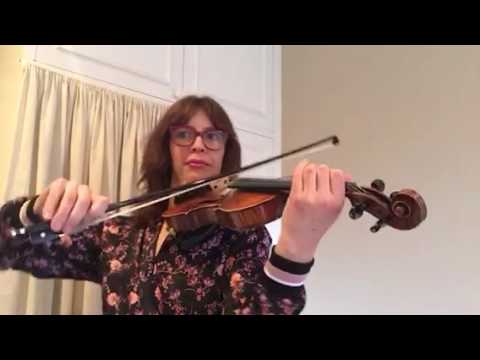 Study by federigo fiorillo