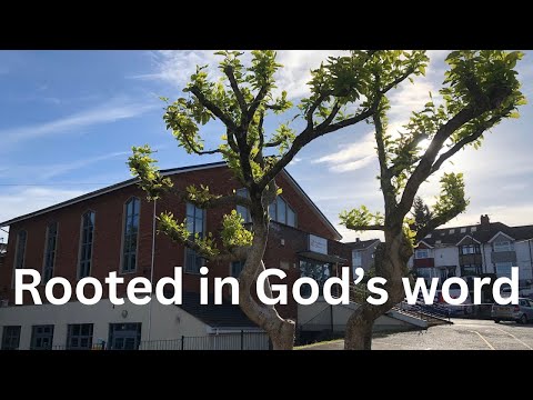 How the internet shapes how we think. Simon Dowland 3rd November 2025