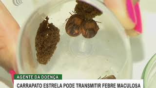 Miniatura do vídeo