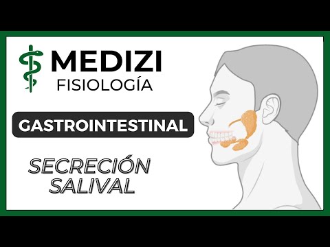 Class 48 Gastrointestinal Physiology - Saliva Secretion (IG:@doctor.paiva)