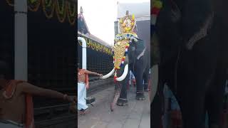 Ambalappuzha 12 Kalabham Day 2 Sreebali #mullakkalbalakrishnan#kerala#ambalappuzha#festival#4k#video
