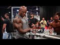2017 IFBB Men's Classic Physique Competitor Flex Wheeler Backstage Pumping Up