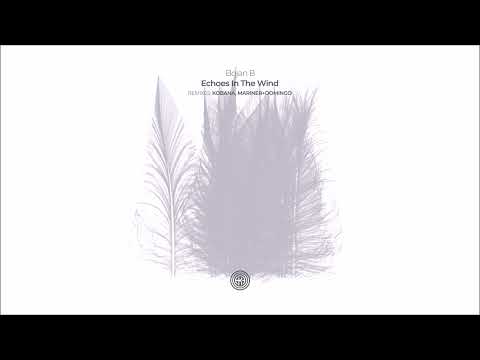 Bojan B - Echoes In The Wind (Original Mix)