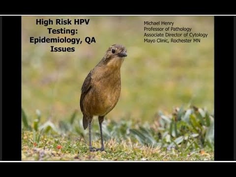 hpv rák uk A Pinworm tabletta hatékony