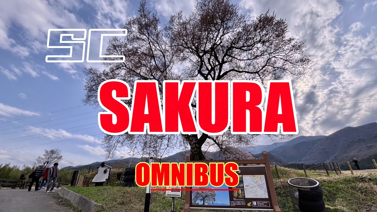 桜プレミア 再公開