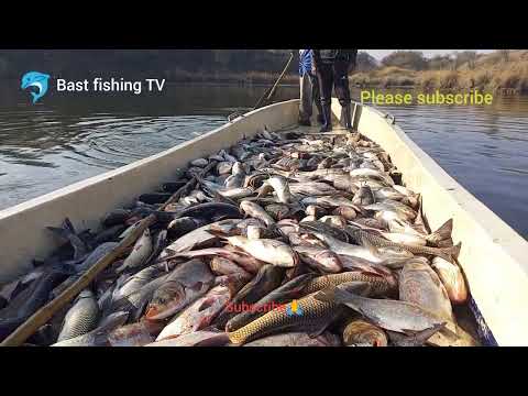 sneyha.,Arbin Q Javan Fun Bast 😱😱fishing video movies fish HD shkre fishing #viralstory #fishing