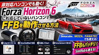 Forza Horizon 6でMOZA・FANATEC・Simucubeを使う方法【FFB対応】