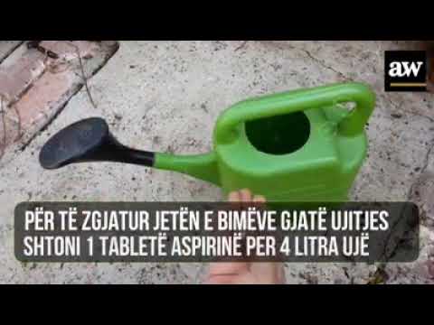 Si të Bëhesh Kopshtar më i Mirë në 5 Hapa