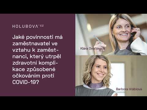 Náhled pro video reference