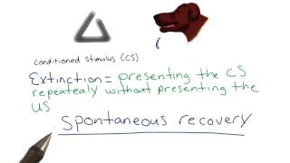 Extinction and spontaneous recovery - Intro to Psychology