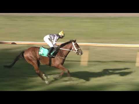 Dostihy Lysá nad Labem 6. 7. 2023 - 9. dostih - Handicap Tankodromu Milovice