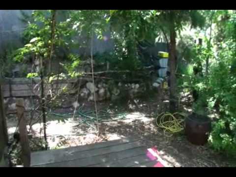 1901 Nolden Street Los Angeles, CA 90041