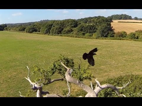 More Close Quarters Filming Practice with Steadidrone QU4D Quadcopter