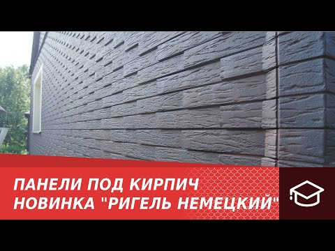 Ригель Немецкий Фото