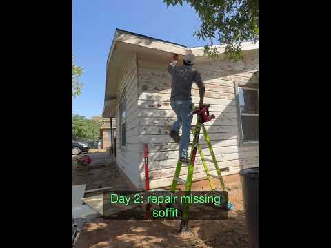 We Blessed This Homeowner With a $1 Paint Job!!🤯