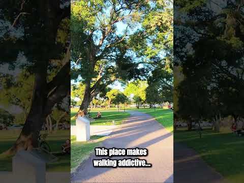 🚶‍♀️🌳 These Walking Paths Feel Like a Dream | Democracy Park 🇦🇷