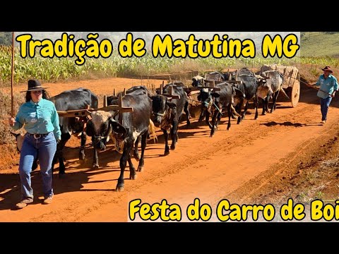 MAIS DE 60 CARROS DE BOI