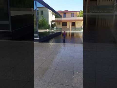 Kids always have to pee.