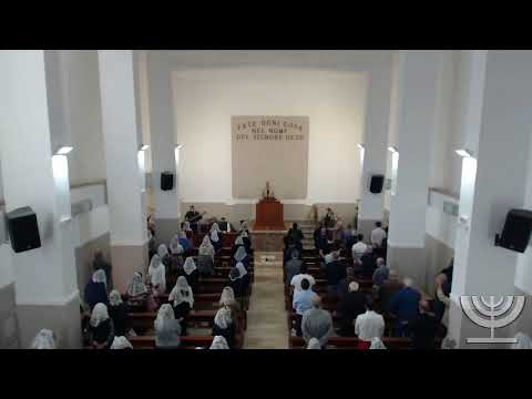 2020-10-04 Domenica Mattina - Fr Mondello - Fr Gemelli - Matteo cap 14 vers 22-36