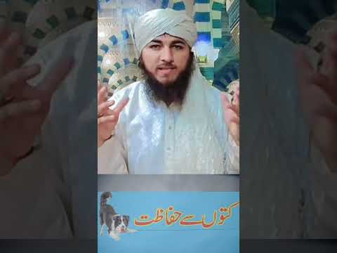 wazifa about for dogs / #wazifa #dog  #shorts