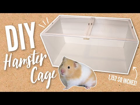 download lagu mp3 mp4 Diy Hamster Cage, download lagu Diy Hamster Cage gratis, unduh video klip Diy Hamster Cage