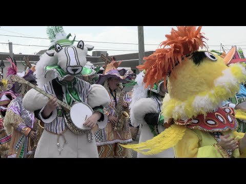 Duffy String Band / North Wildwood