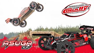 ASUGA XLR 6S - BUGGY 4WD - PRO ROLLER šasi - bez elektroniky - modrá