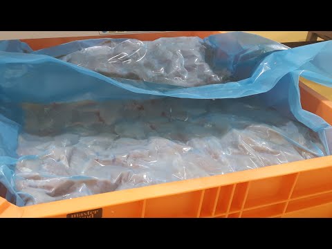 YouTube video: Bulk chicken breast vacuum packaging with Hacona VI-2520 in Dolav