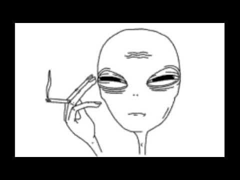 Puffin (Official Audio)