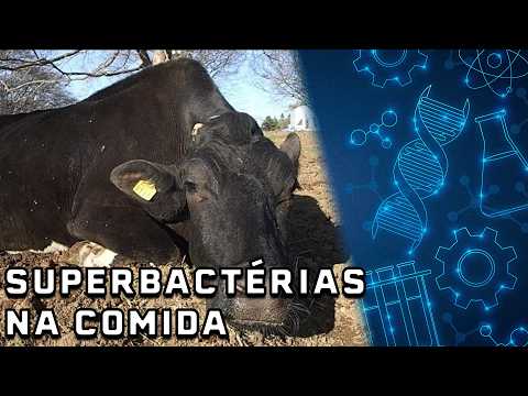 A PECUÁRIA ESTÁ CRIANDO SUPERBACTÉRIAS COM NATHALIA CIRONE