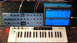 Video thumbnail for Modal COBALT 8M - Extended Virtual Analogue Synthesizer Module - Let’s Take a Tour by The Sound Test Room