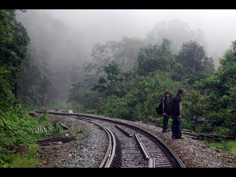 Best nature on obaidullah ganj (mid ghat)