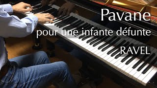 Download lagu 亡き王女のためのパヴァーヌ（ラヴェル）Ravel - Pavane pour une infante défunte - pianomaedaful mp3
