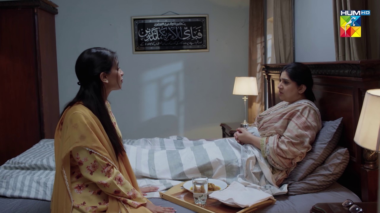 Ye Khidmat Kis Liye Kar Rahi Ho Kiya Chahti Ho...! Daam-e-Mohabbat - HUM TV