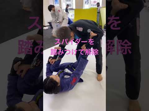 ［柔術テクニック］スパイダーを踏みつけ解除してレッグドラッグ #bjj #jiujitu #ブラジリアン柔術 #bjjlifestyle #ブラジリアン柔術テクニック動画 #柔術