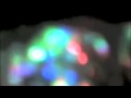 "The Manor & The Fountain" KRAMIES video
